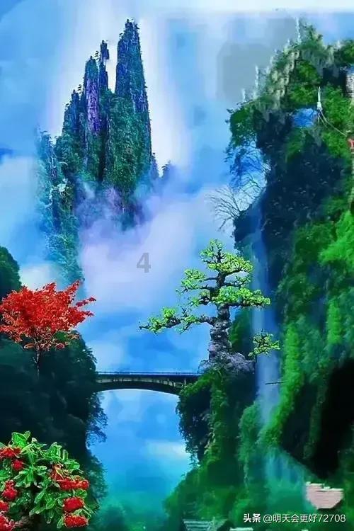 寻找遗失的手提包