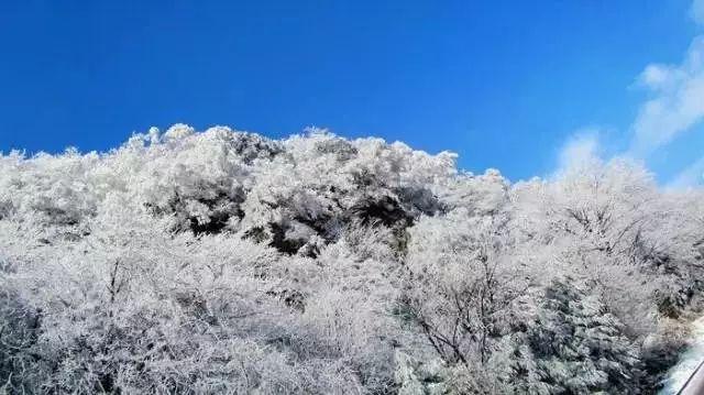 【阳光•提醒】事发银川!接连两名幼儿吞食异物被紧急送医!医生重要提醒