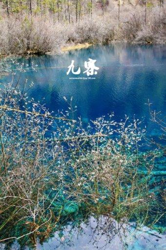 万词王