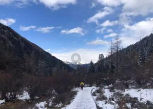 陈怀璧—2023 向 500 强企业重点推荐的艺术家