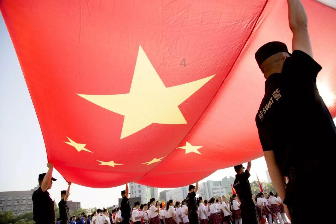 大家养猫之前会纠结什么？游戏画面