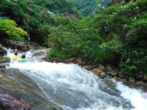 虫虫助手下载