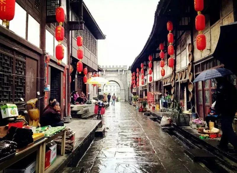 救援鹦鹉